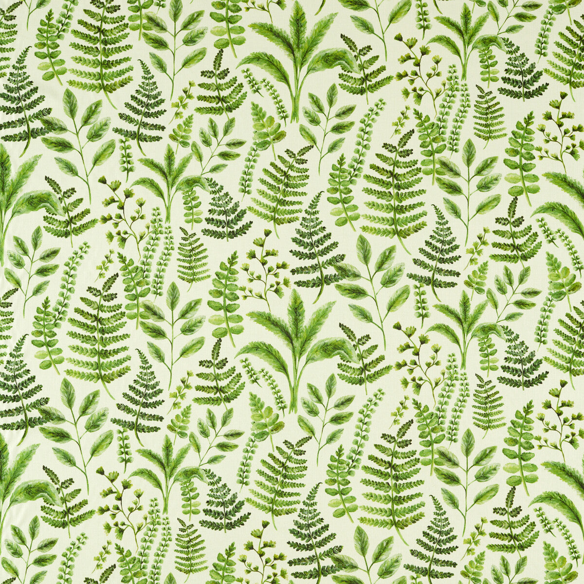 CLARKE AND CLARKE F1653/01.CAC.0 BRACKEN FOREST Fabric - Eade's Wallpaper