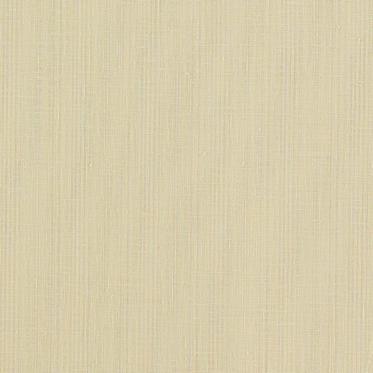 CLARKE AND CLARKE F1665/10.CAC.0 REMO RAFFIA Fabric - Eade's Wallpaper
