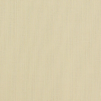CLARKE AND CLARKE F1665/10.CAC.0 REMO RAFFIA Fabric - Eade's Wallpaper