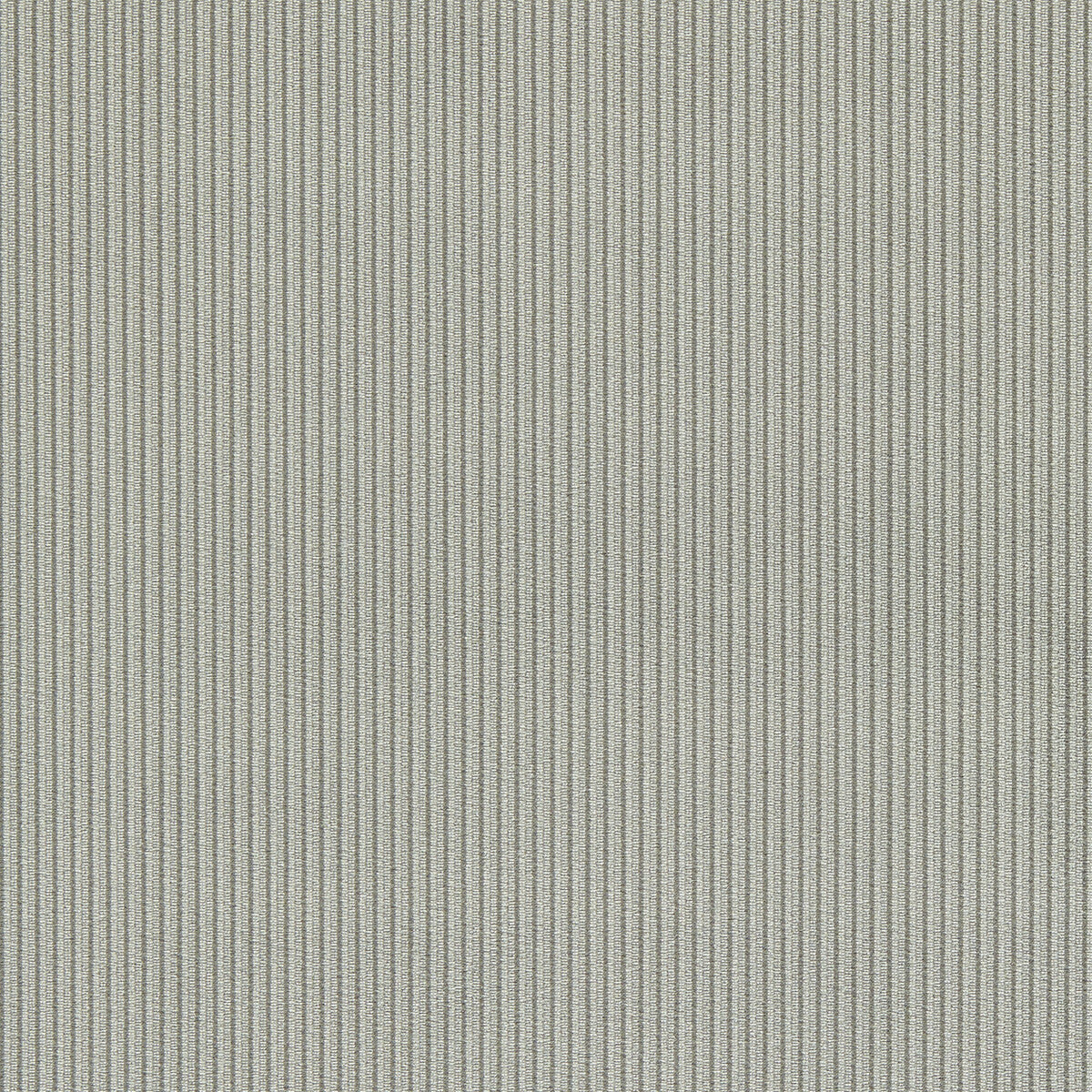 CLARKE AND CLARKE F1688/04.CAC.0 ASHDOWN GRAPHITE Fabric - Eade's Wallpaper
