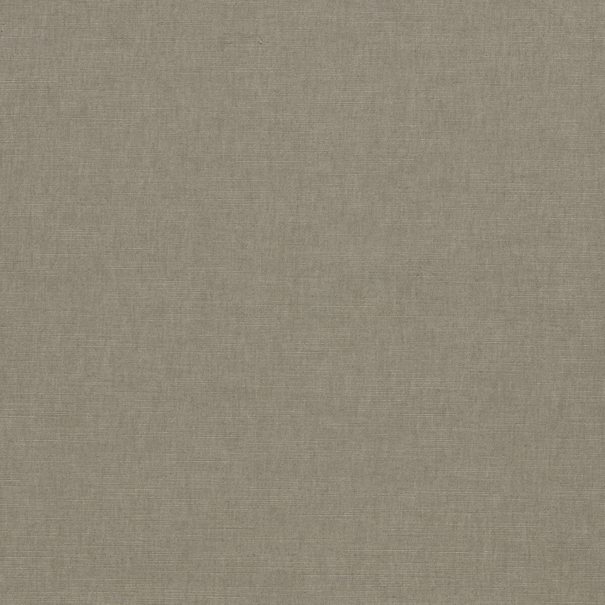 CLARKE AND CLARKE F1707/01.CAC.0 PARADISO ASH Fabric - Eade's Wallpaper