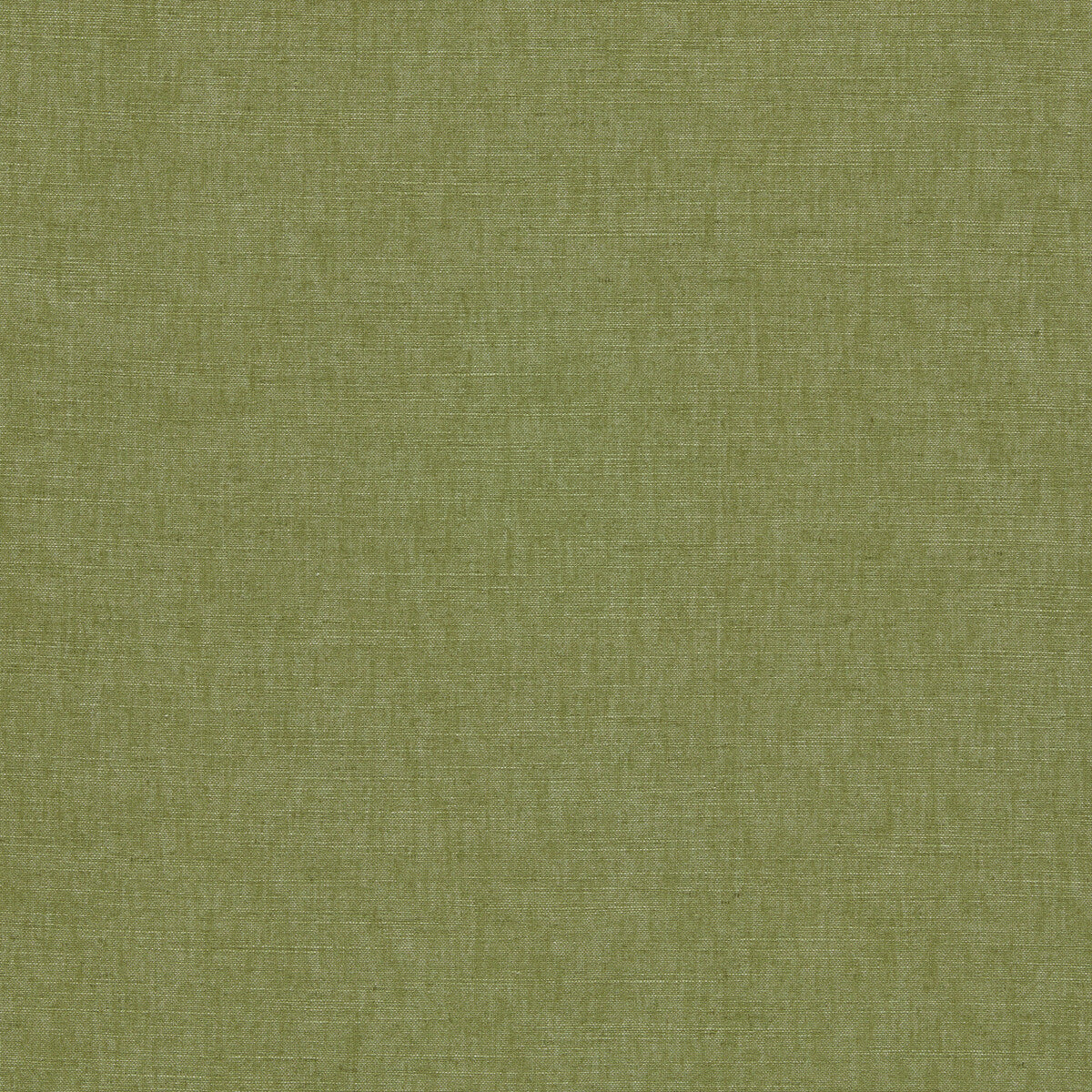 CLARKE AND CLARKE F1707/20.CAC.0 PARADISO PALM Fabric - Eade's Wallpaper