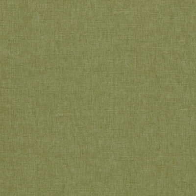 CLARKE AND CLARKE F1707/20.CAC.0 PARADISO PALM Fabric - Eade's Wallpaper