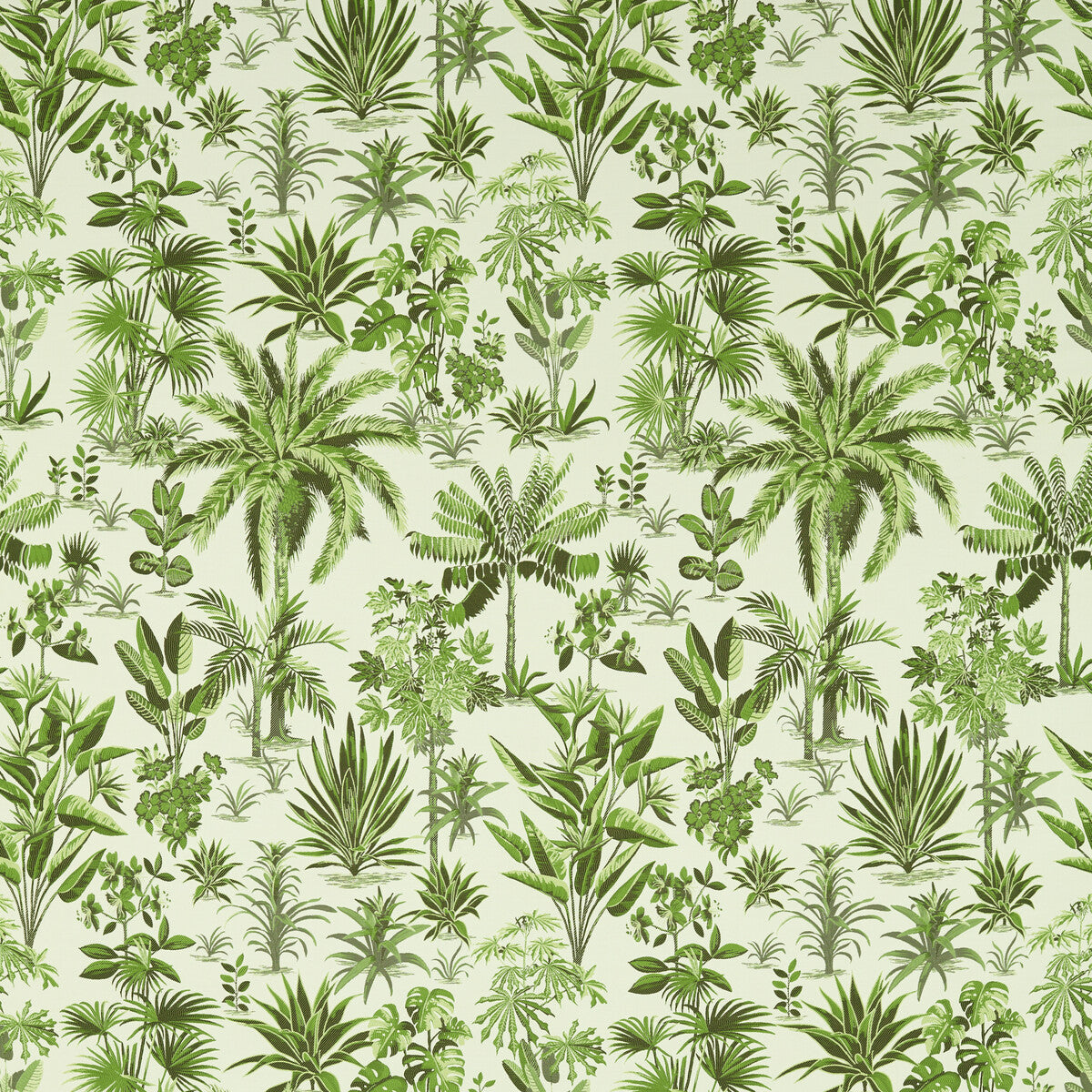 CLARKE AND CLARKE F1711/03.CAC.0 MALINDI PALM Fabric - Eade's Wallpaper