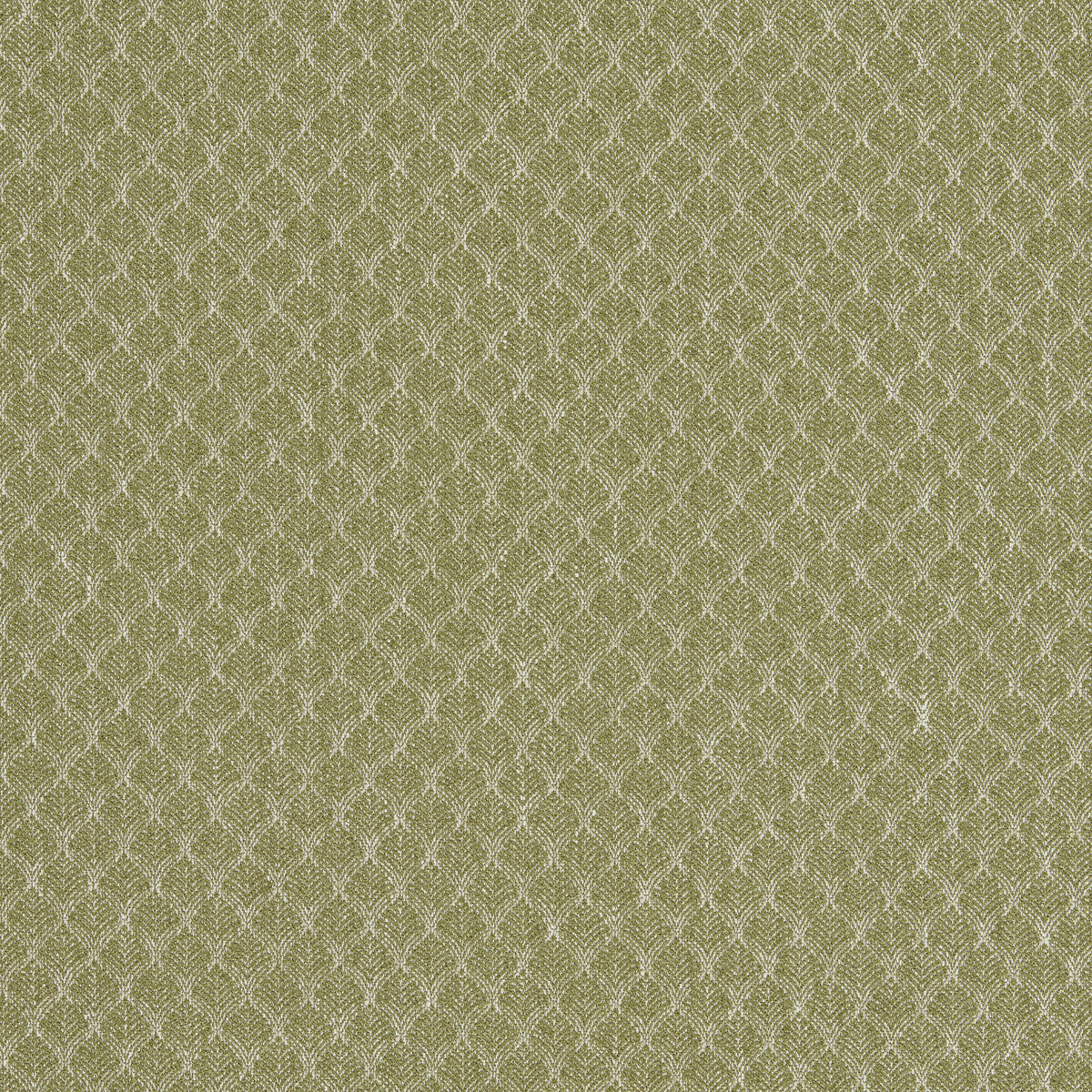 CLARKE AND CLARKE F1724/04.CAC.0 TRELICA OLIVE Fabric - Eade's Wallpaper
