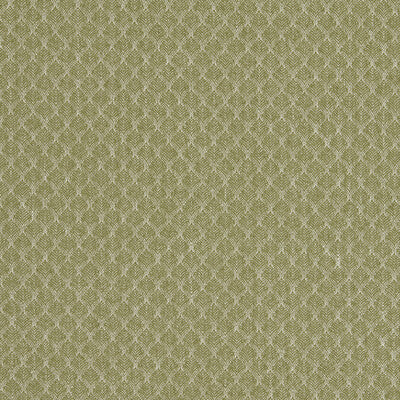 CLARKE AND CLARKE F1724/04.CAC.0 TRELICA OLIVE Fabric - Eade's Wallpaper