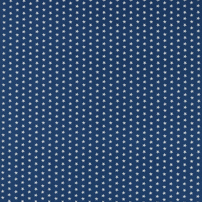 CLARKE AND CLARKE F1730/04.CAC.0 SEASTAR NAVY Fabric - Eade's Wallpaper