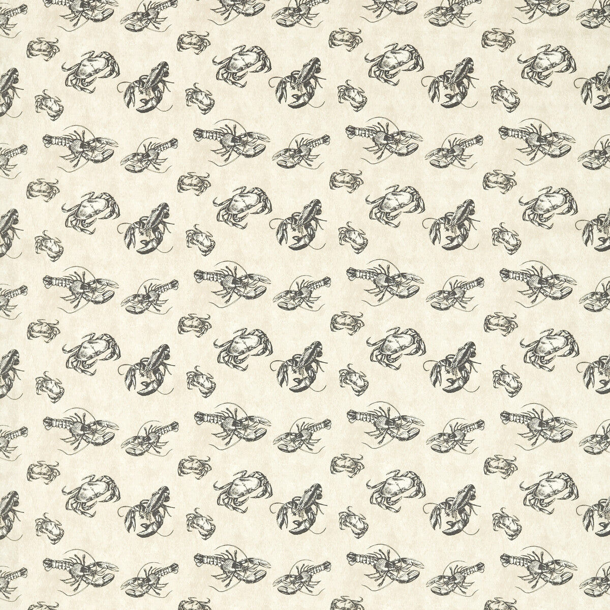 CLARKE AND CLARKE F1731/01.CAC.0 SHELLFISH CHARCOAL Fabric - Eade's Wallpaper