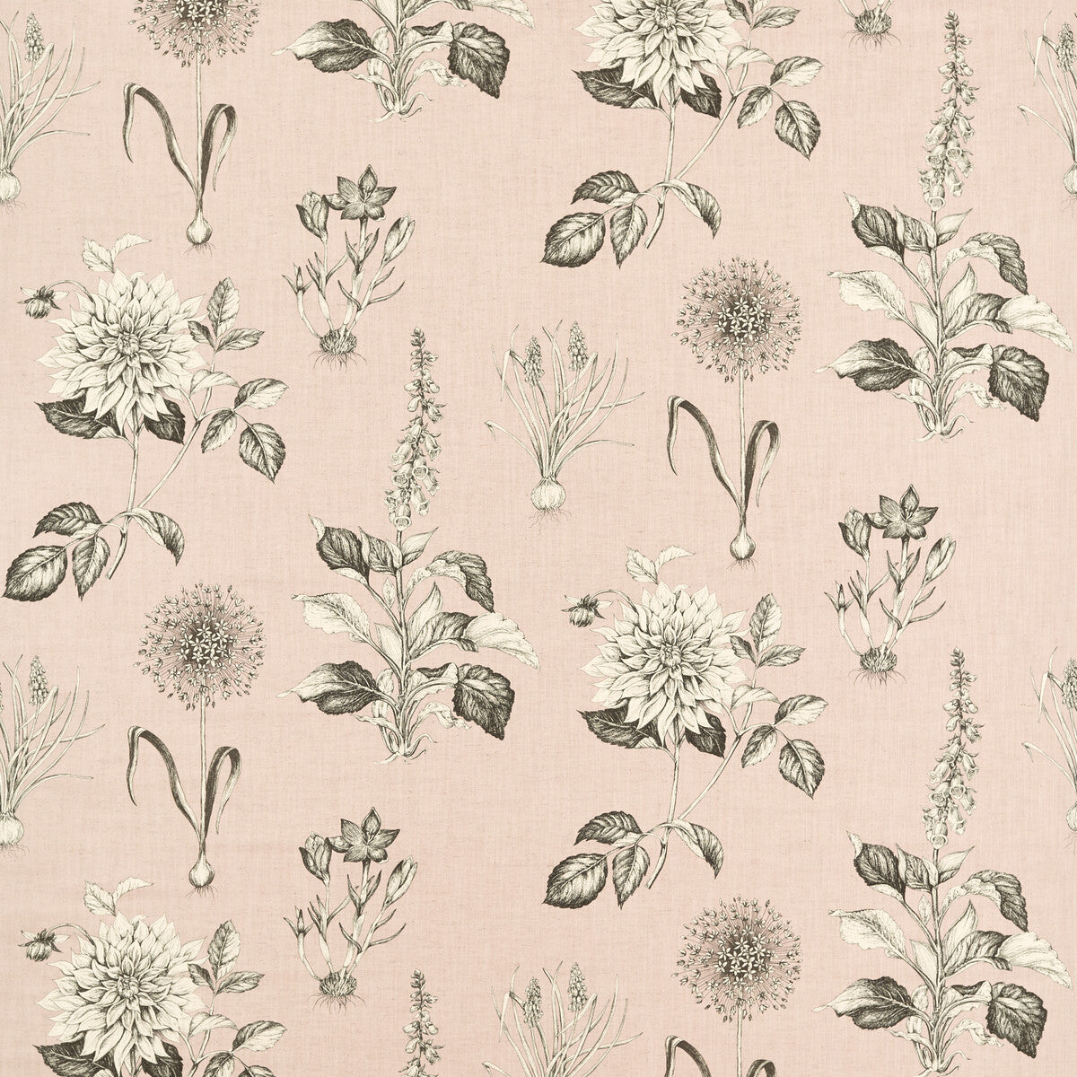 CLARKE AND CLARKE F1738/01.CAC.0 ROSERAIE BLUSH Fabric - Eade's Wallpaper