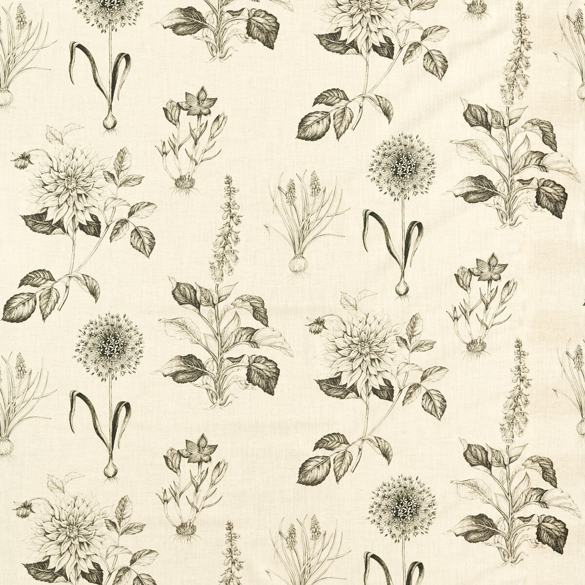 CLARKE AND CLARKE F1738/02.CAC.0 ROSERAIE CHARCOAL Fabric - Eade's Wallpaper