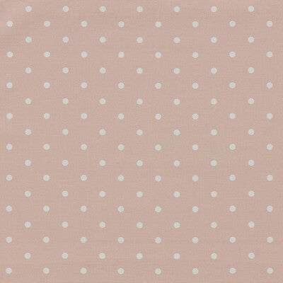 CLARKE AND CLARKE DOTTY F1781/01.CAC.0 in BLUSH Wallpaper -