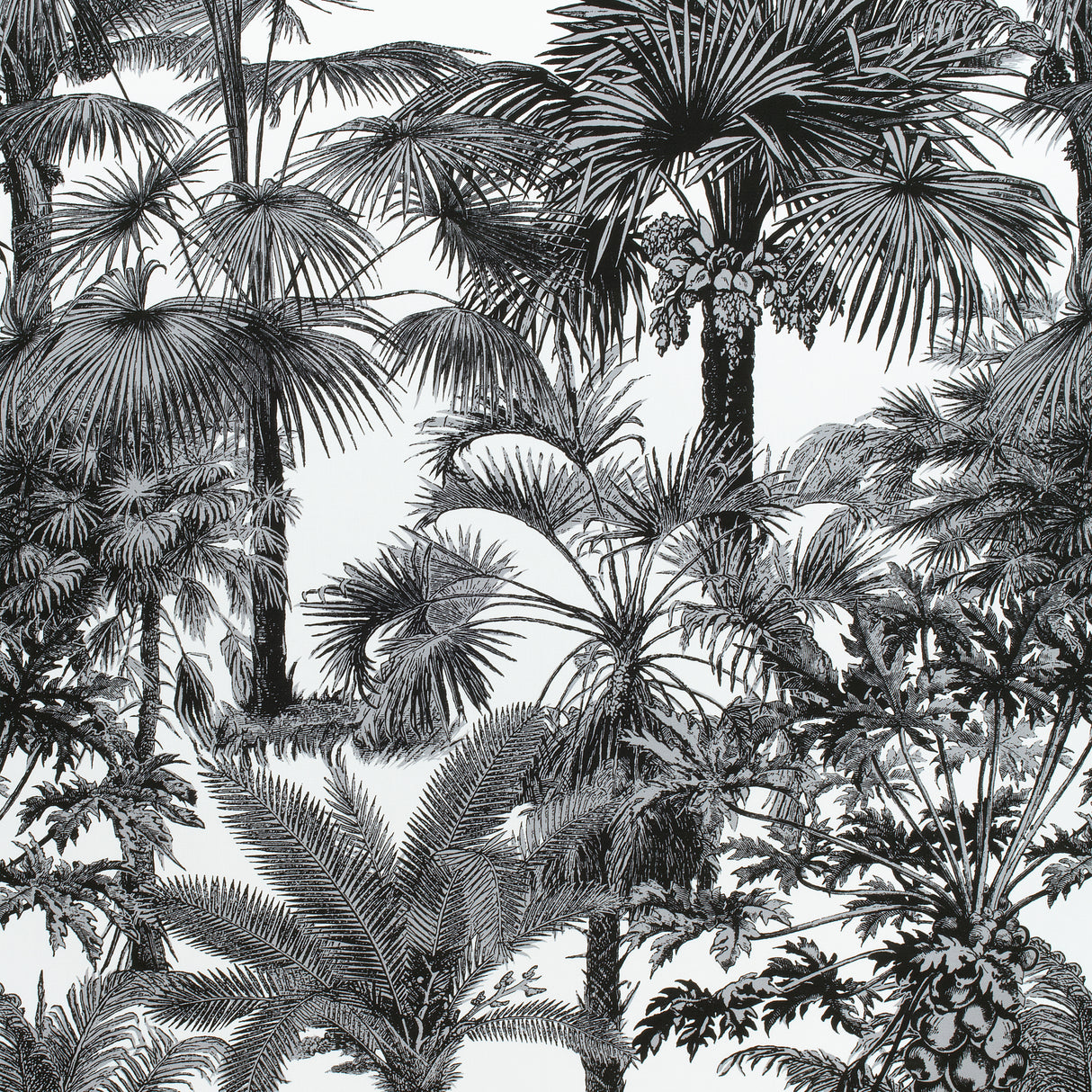 Thibaut F910102 PALM BOTANICAL Black Fabric