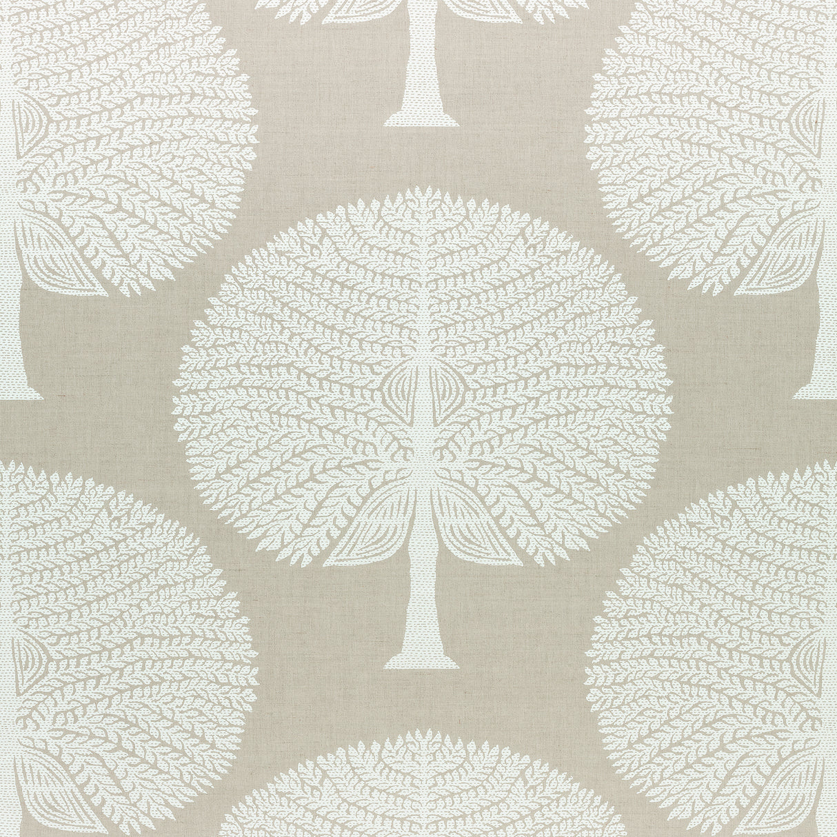 Thibaut F910601 MULBERRY TREE Natural Fabric