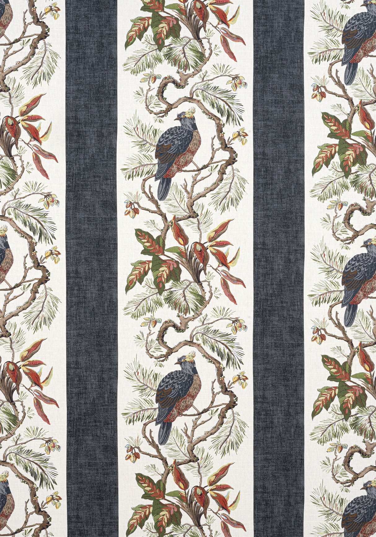 Thibaut F910858 WILLIAMSON Black Fabric