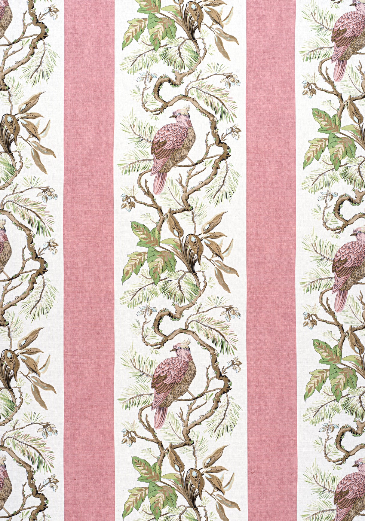 Thibaut F910859 WILLIAMSON Blush Fabric
