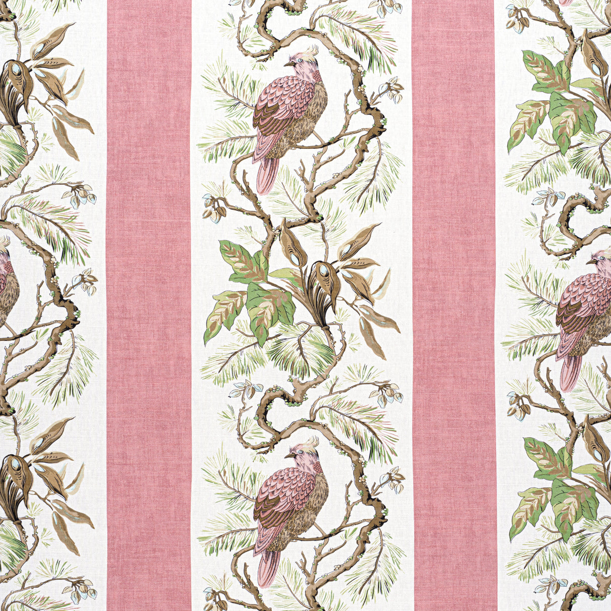 Thibaut F910859 WILLIAMSON Blush Fabric