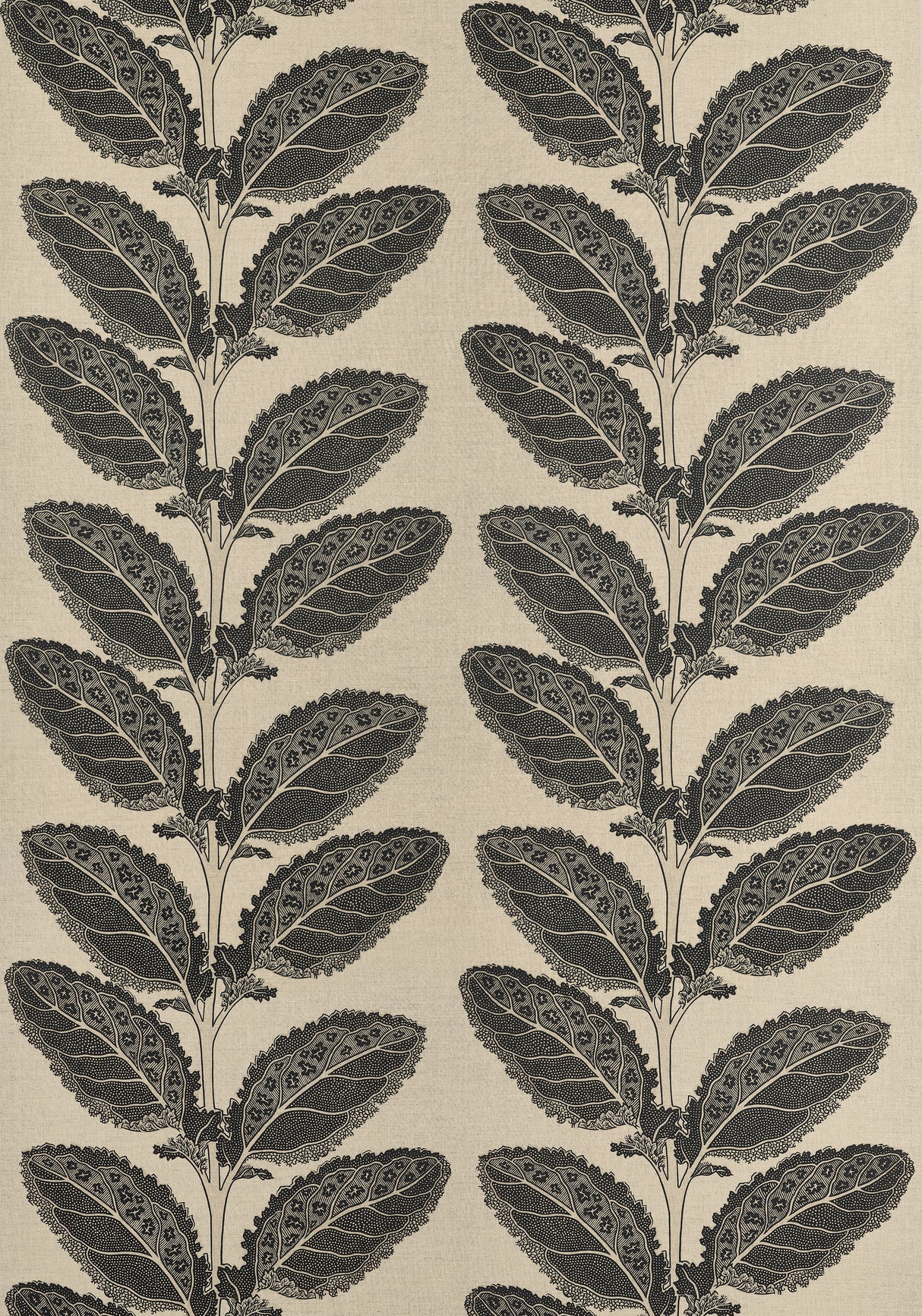 Thibaut F912038 LACINATO Basalt Black Fabric