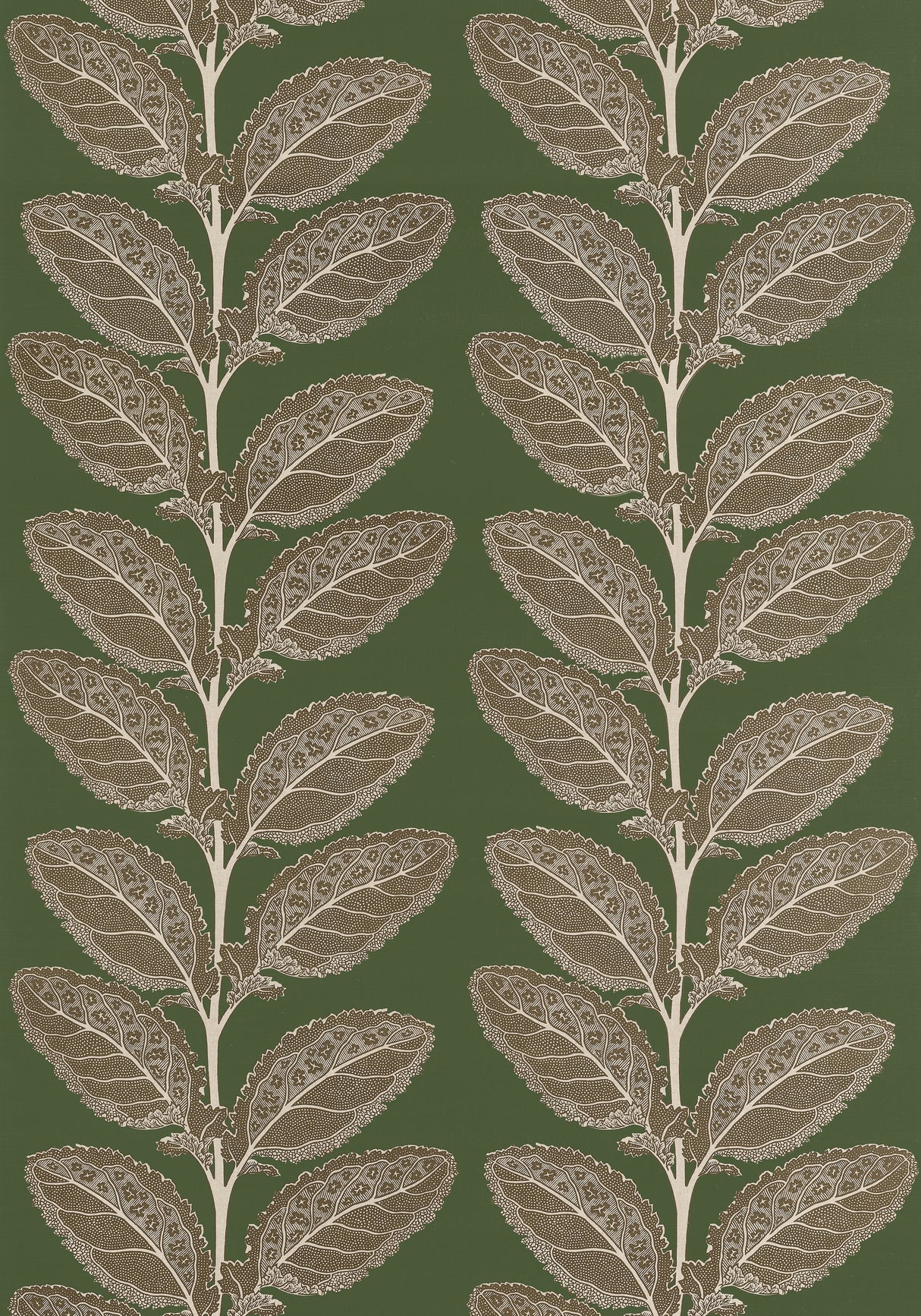 Thibaut F912040 LACINATO Wild Sage Fabric