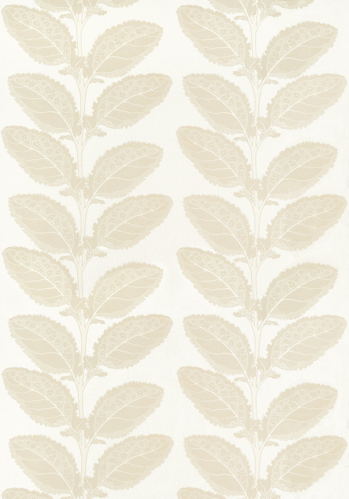 Thibaut F912041 LACINATO Birch Fabric