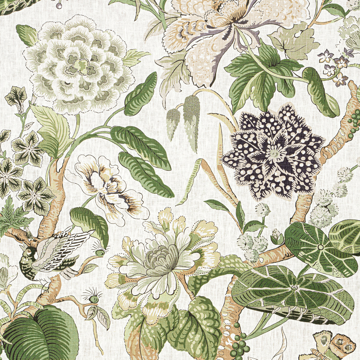 Thibaut F913656 HILL GARDEN White and Green Fabric