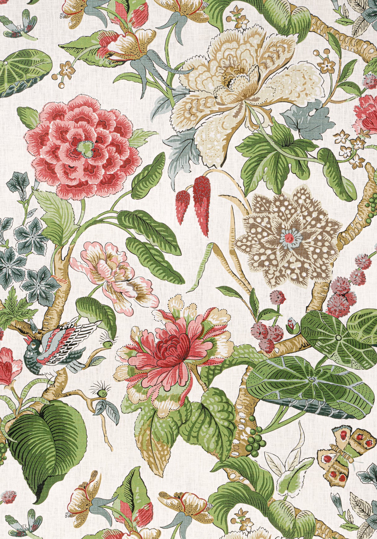 Thibaut F913658 HILL GARDEN Coral and Green Fabric
