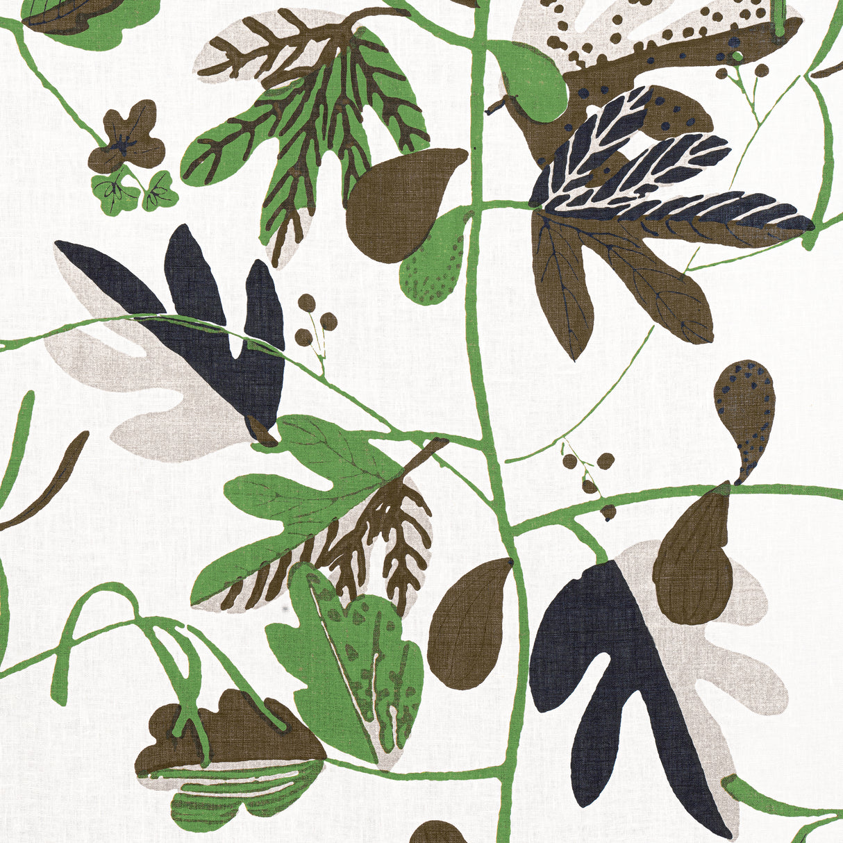 Thibaut F916208 MATISSE LEAF Black and Green Fabric