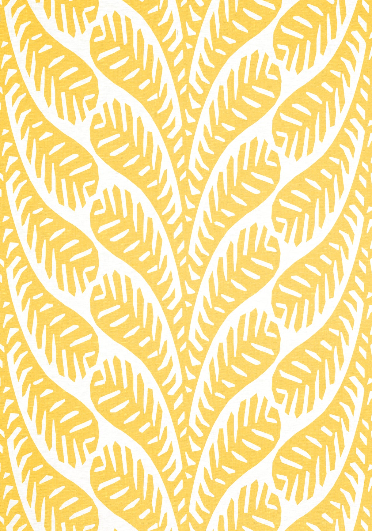 Thibaut F920828 GINGER Yellow Fabric