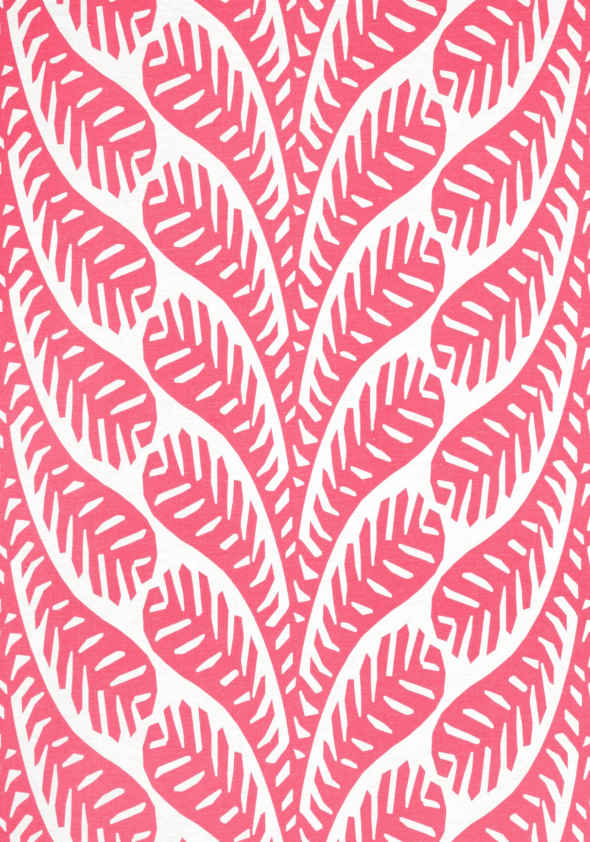 Thibaut F920831 GINGER Pink Fabric