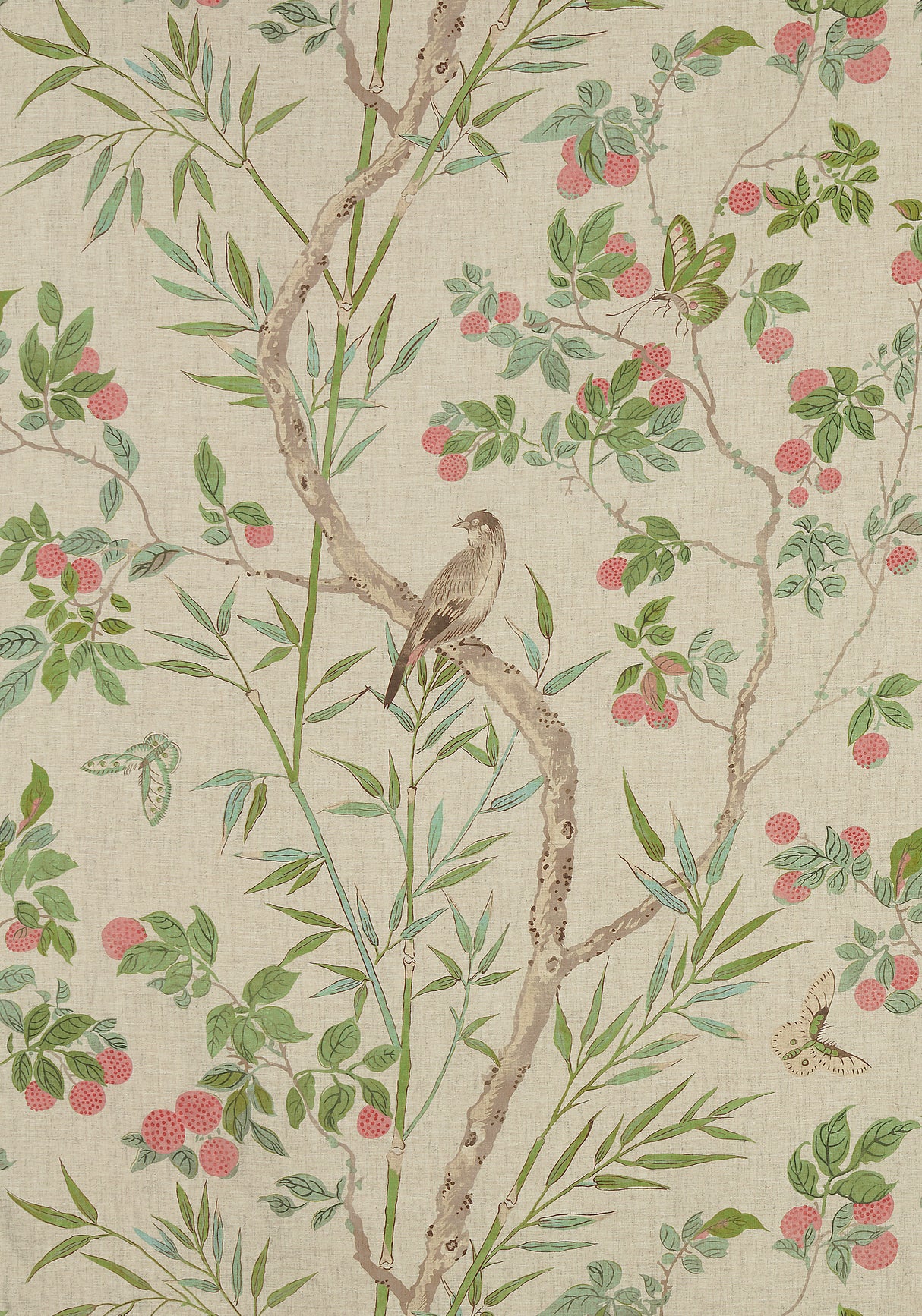 Thibaut F942009 CLAIRE Coral and Green Fabric