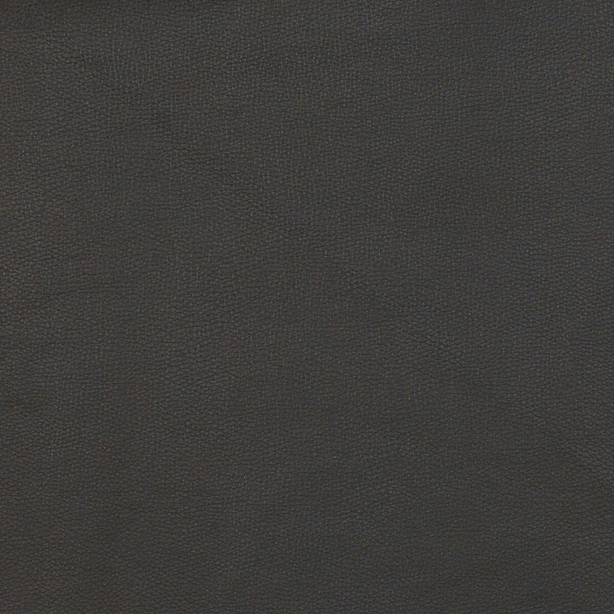 KRAVET DESIGN FAWN.8.0 KRAVET DESIGN FAWN-8 Fabric - Eade's Wallpaper