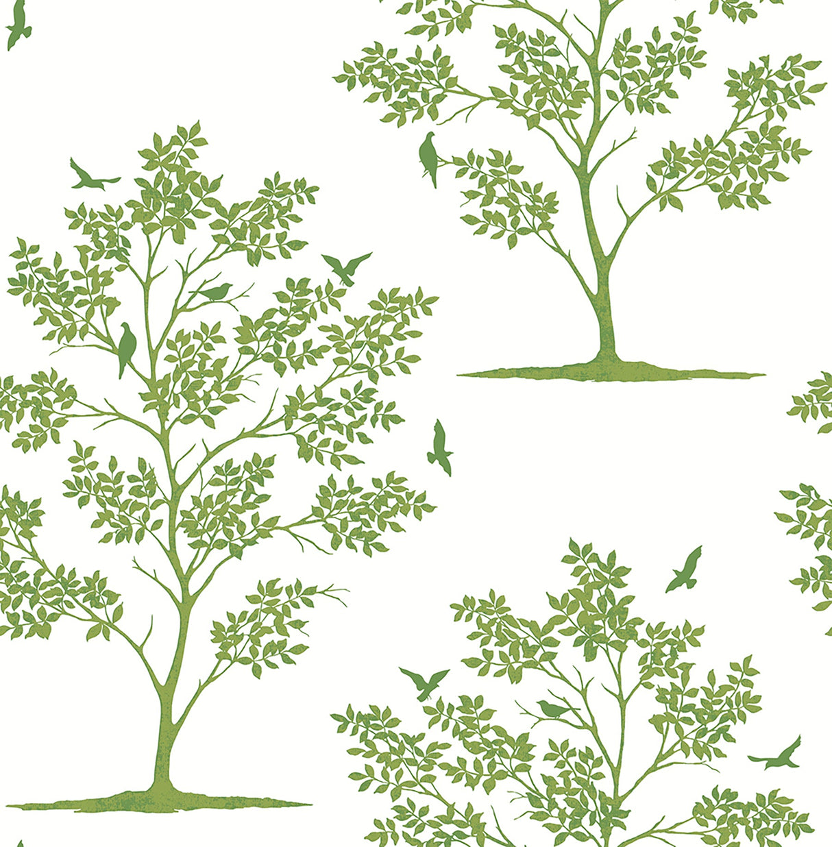Brewster FD23282 Woodland Green Trees & Birds Wallpaper