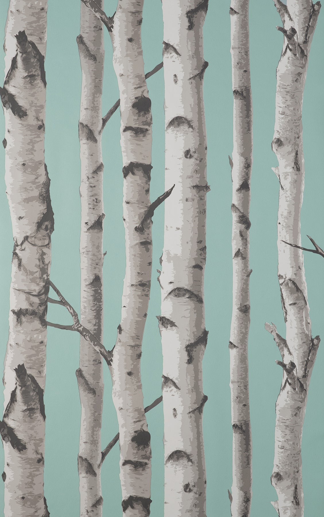 Fine Decor FD43293 Chester Aqua Birch Trees Wallpaper