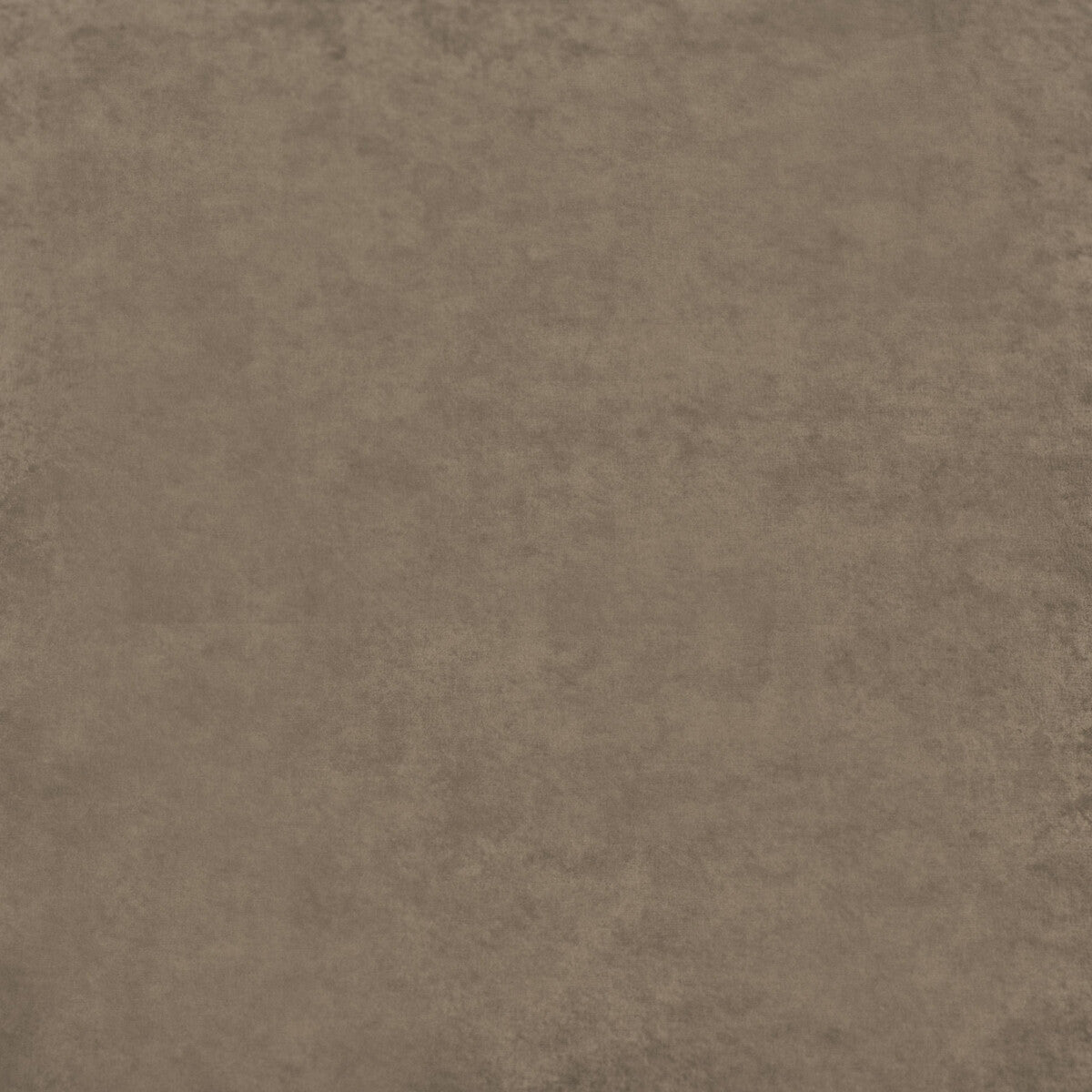 MULBERRY FD628.R110.0 ROSSINI VELVET MOLE Fabric - Eade's Wallpaper