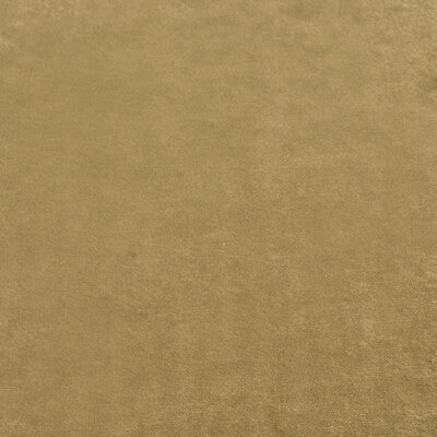 MULBERRY FD628.T102.0 ROSSINI VELVET GOLD Fabric - Eade's Wallpaper