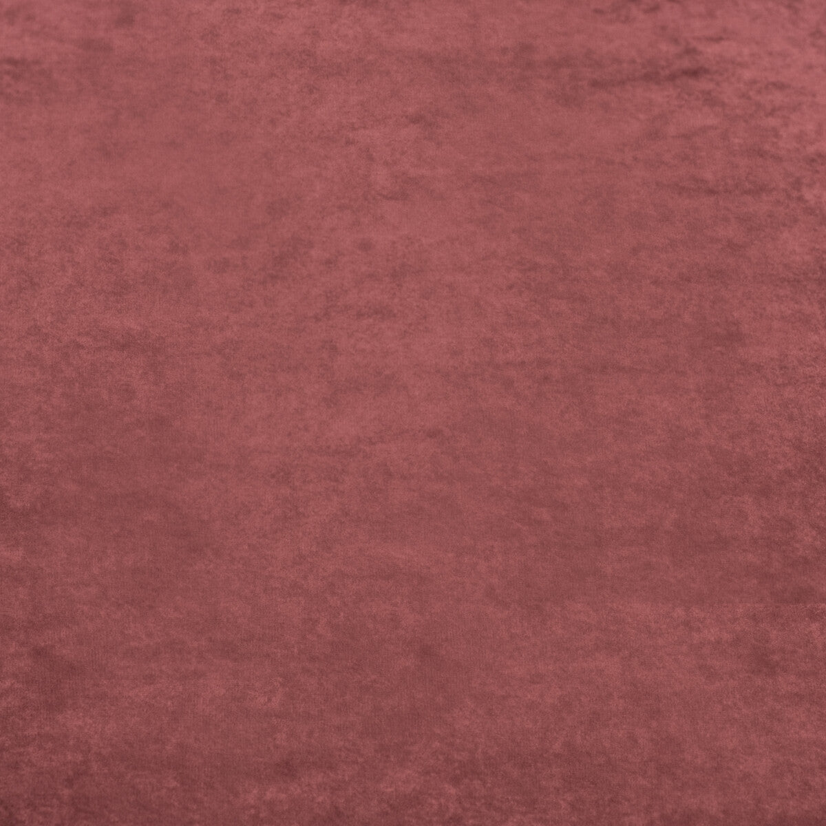 MULBERRY FD628.V55.0 ROSSINI VELVET RUSSET Fabric - Eade's Wallpaper