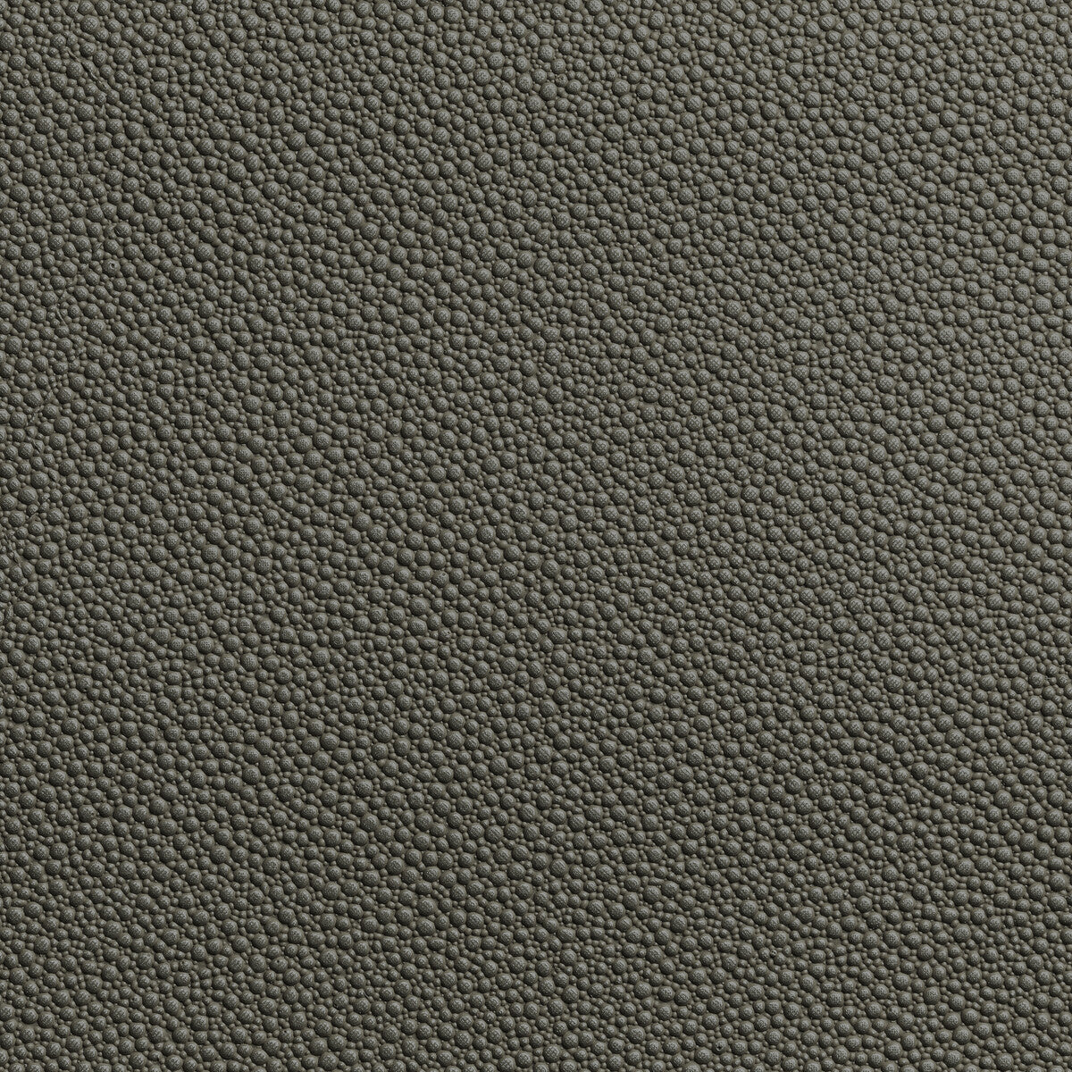 KRAVET CONTRACT FETCH.21.0 FETCH GRANITE Fabric - Eade's Wallpaper