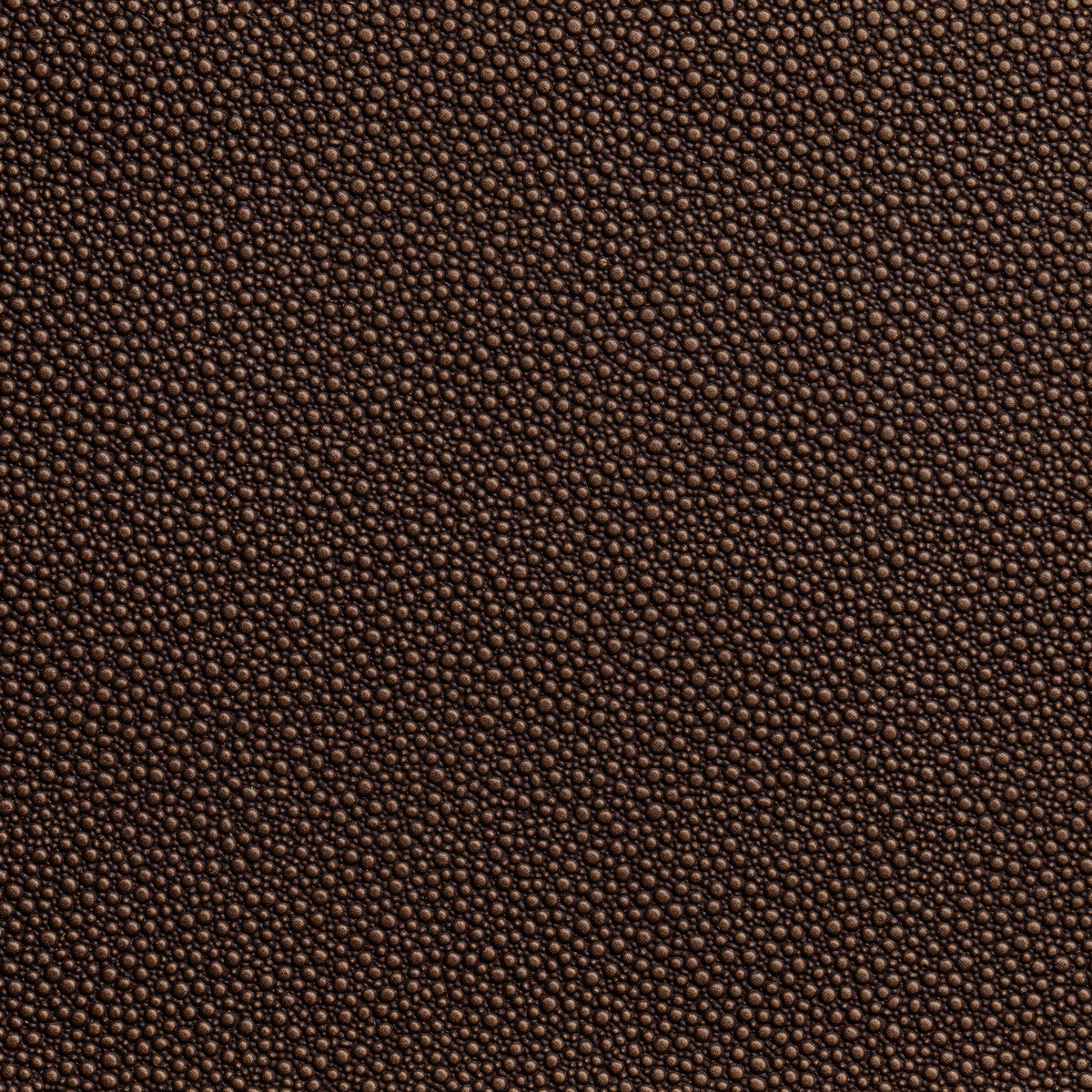 KRAVET CONTRACT FETCH.6.0 FETCH PENNY Fabric - Eade's Wallpaper