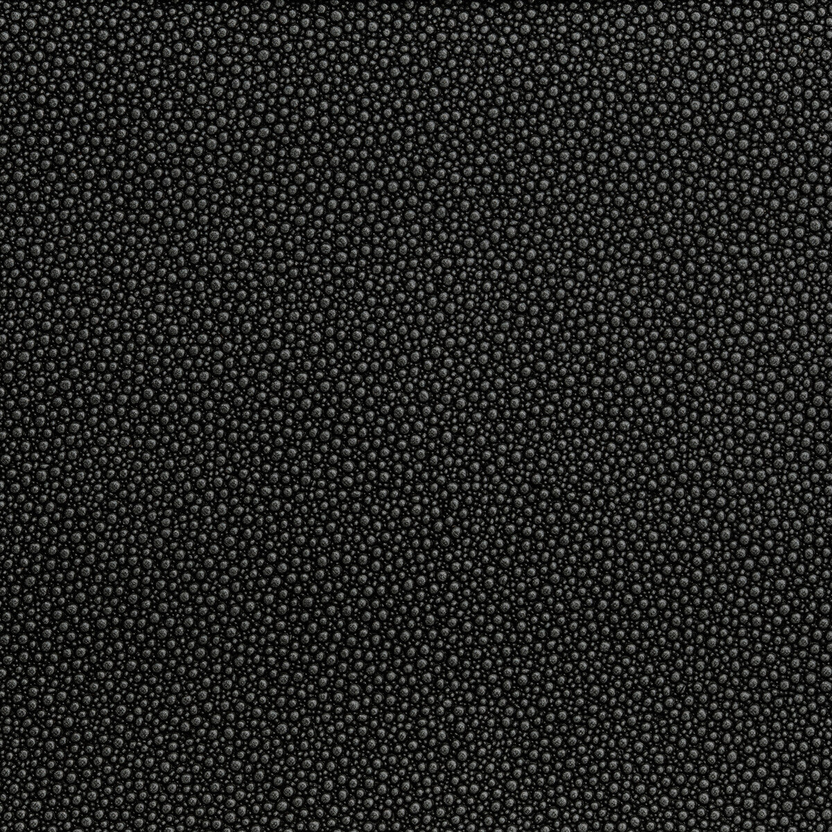 KRAVET CONTRACT FETCH.821.0 FETCH STARGAZER Fabric - Eade's Wallpaper