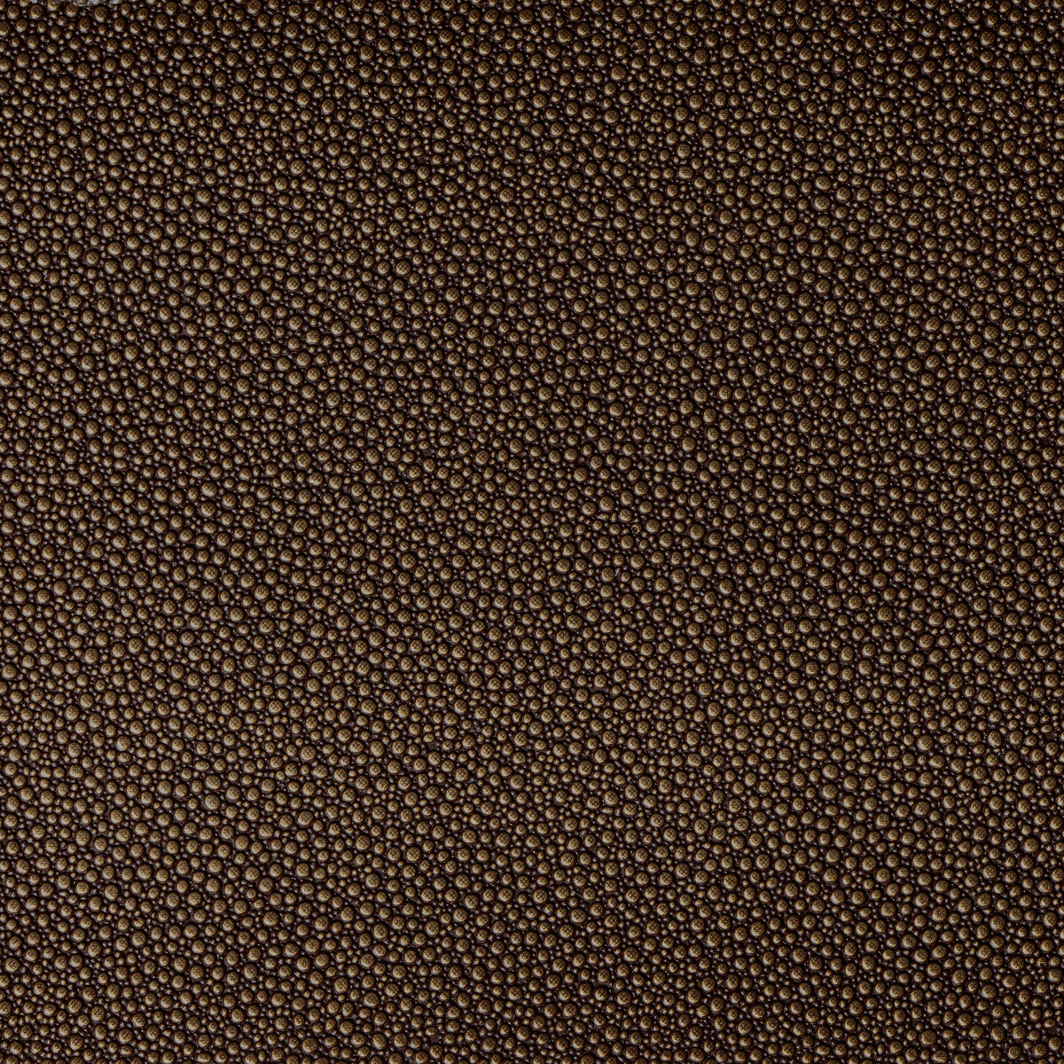 KRAVET CONTRACT FETCH.84.0 FETCH BURNISH Fabric - Eade's Wallpaper