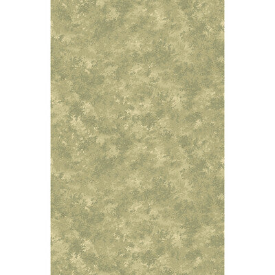 MULBERRY FG121.A52.0 MULBERRY FOREST MISTY MORNING Wallpaper - Eade's Wallpaper