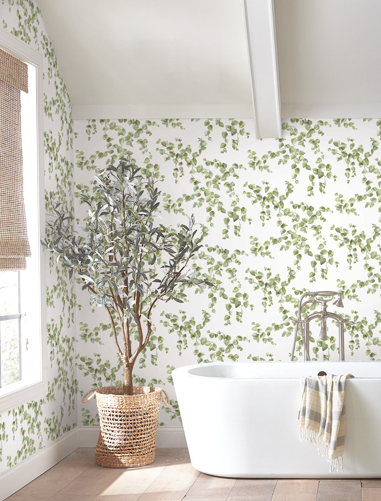 York FH4036 Creeping Fig Vine Green Wallpaper