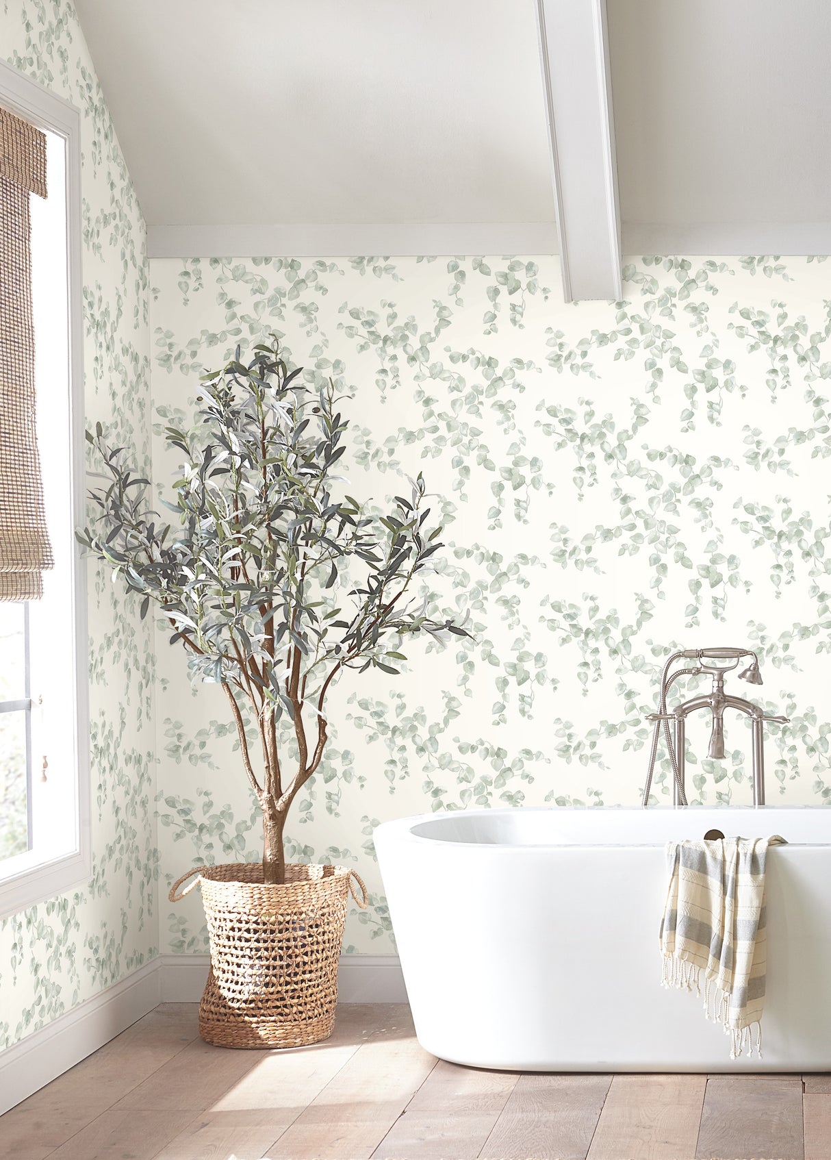 York FH4037 Creeping Fig Vine Sage Wallpaper