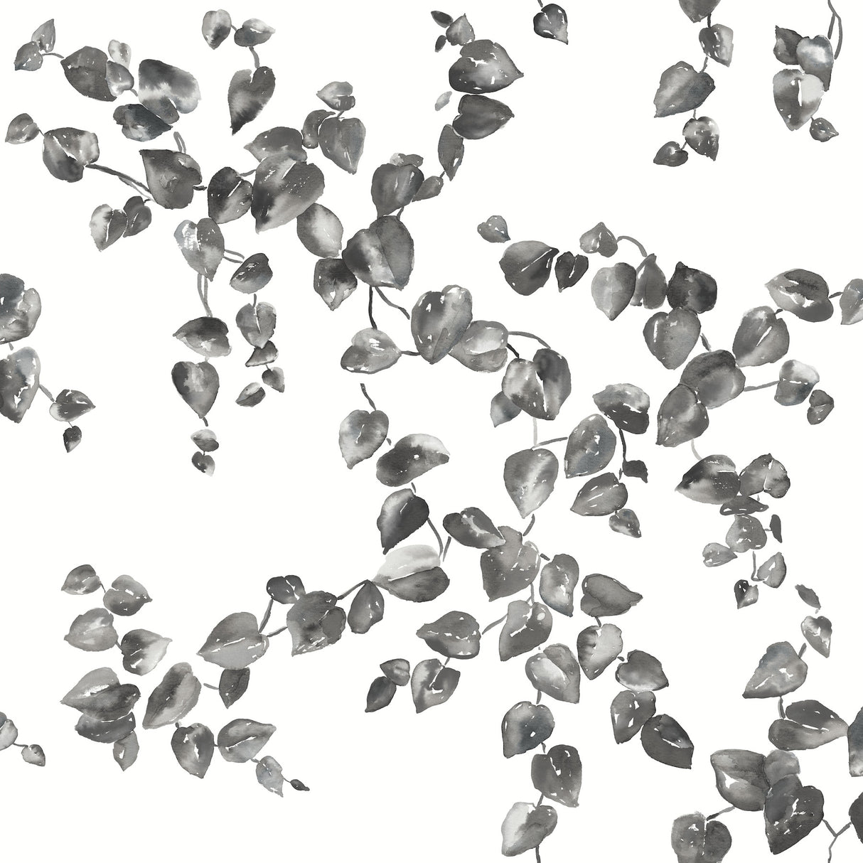 York FH4038 Creeping Fig Vine Black & White Wallpaper