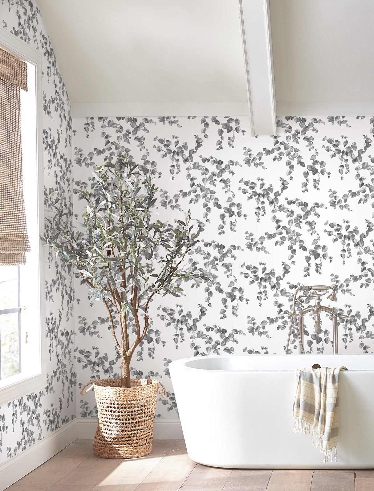 York FH4038 Creeping Fig Vine Black & White Wallpaper