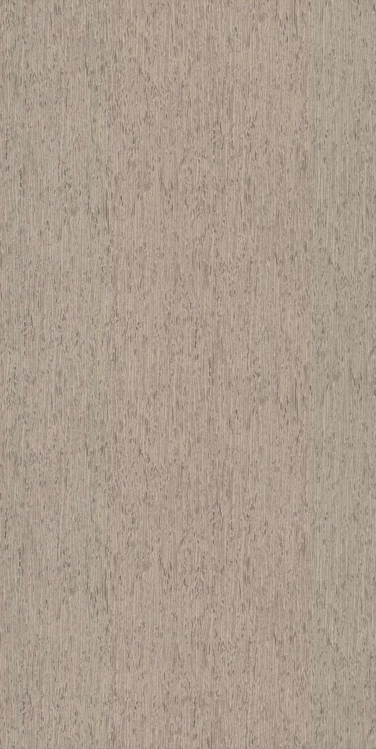 York FH4093 Rugged Bark Grey Wallpaper