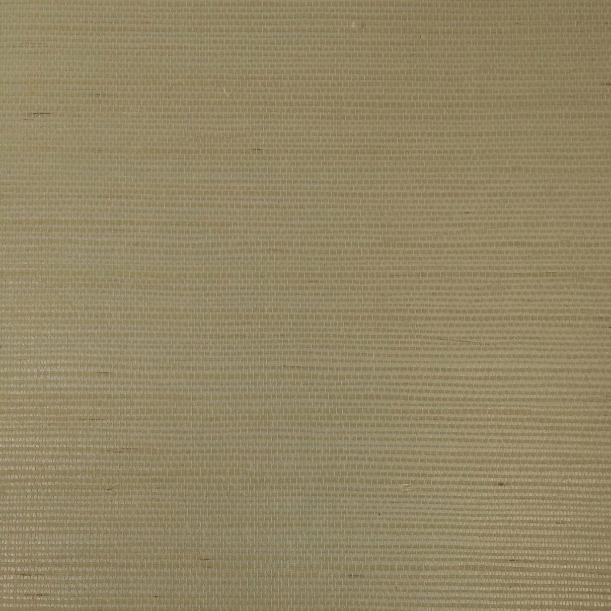 Armani RAFIA PLAIN 9361 in Brown Wallpaper