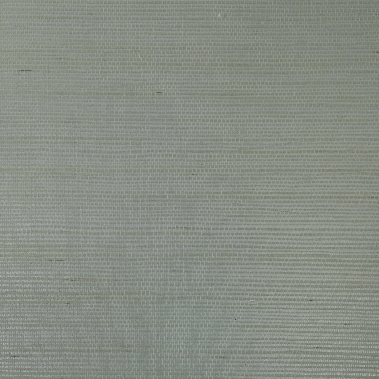 Armani RAFIA PLAIN 9362 in Light Blue/Grey Wallpaper