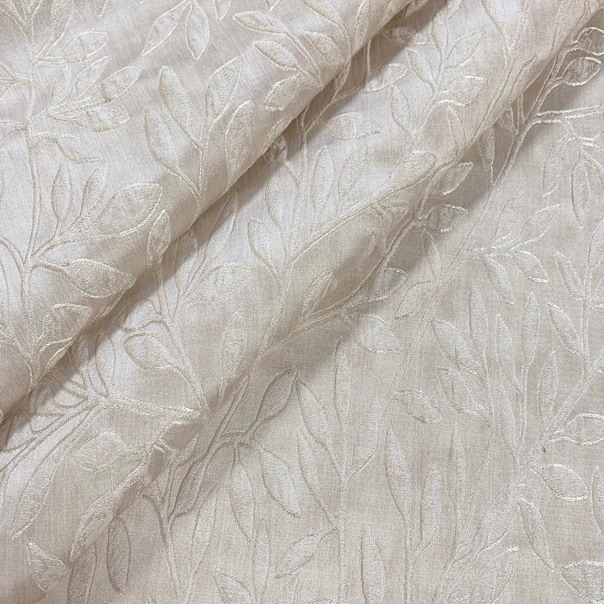 Eade’s FIXITY OYSTER OYSTER