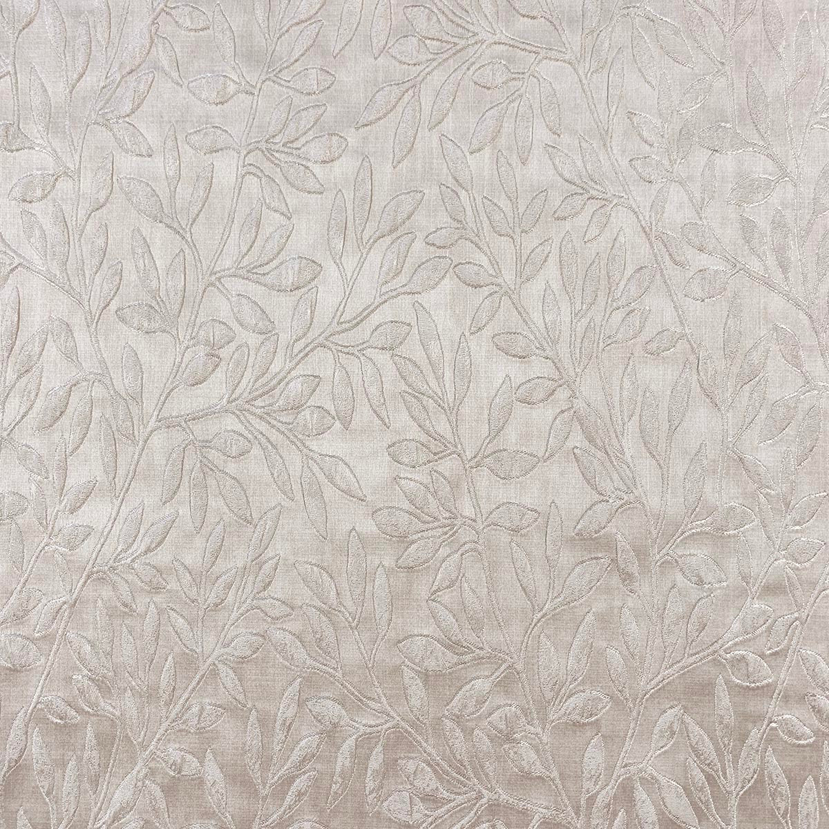 Eade’s FIXITY OYSTER OYSTER