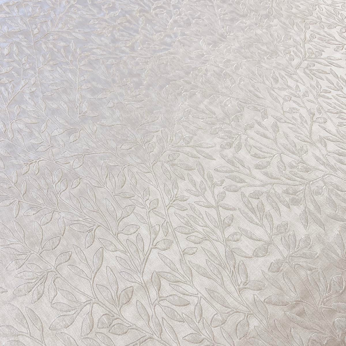 Eade’s FIXITY OYSTER OYSTER